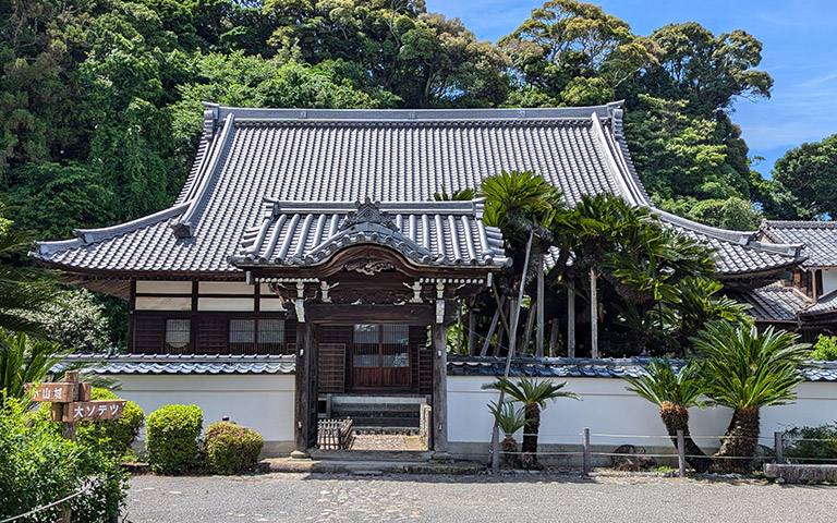 能満寺のソテツ